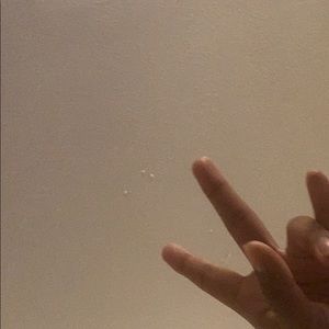 Meet your Posher, Lina